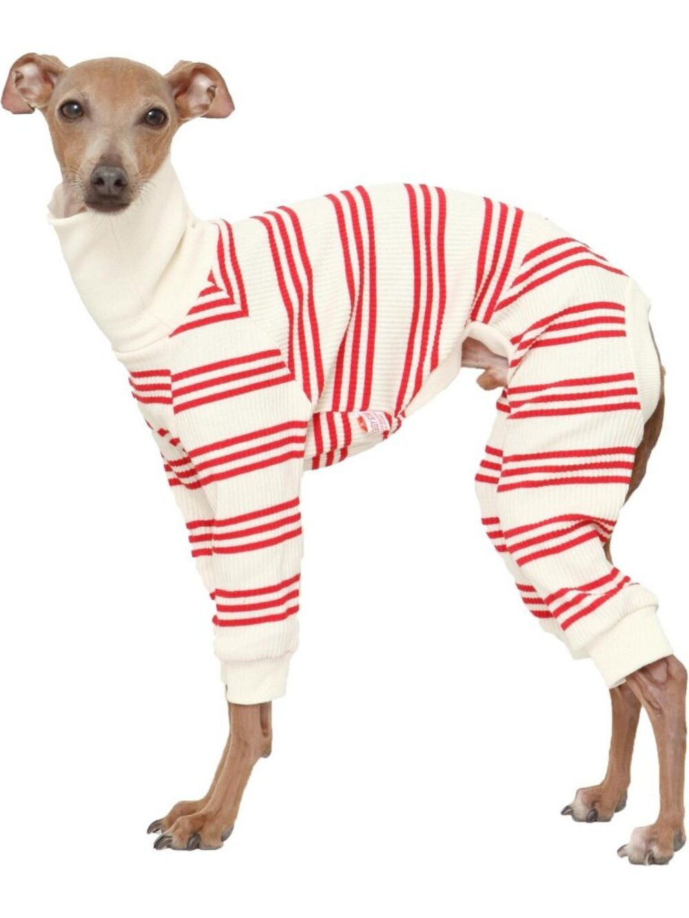 Soft Stretchy Onesie for Dogs - Refined Stripe Outfit for Italian Greyhounds